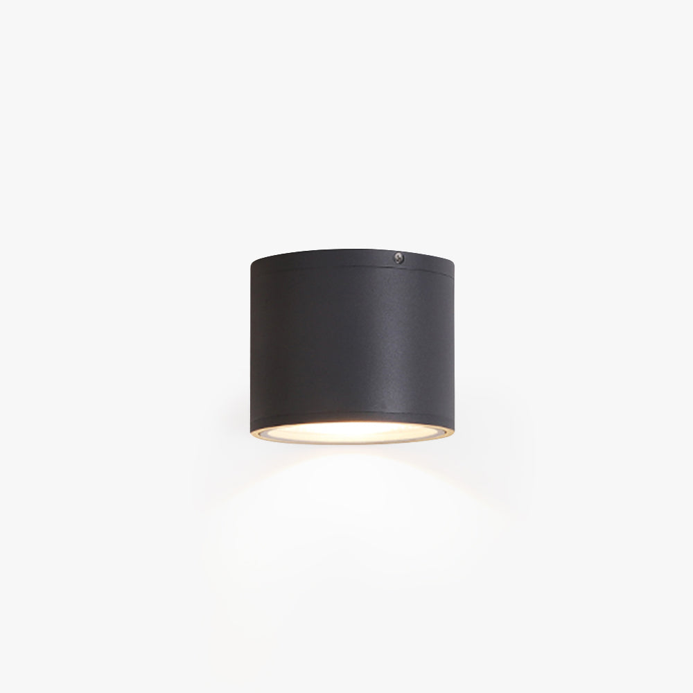 Ray Moderna Cilíndrica LED Metal Lámpara De Techo Exterior