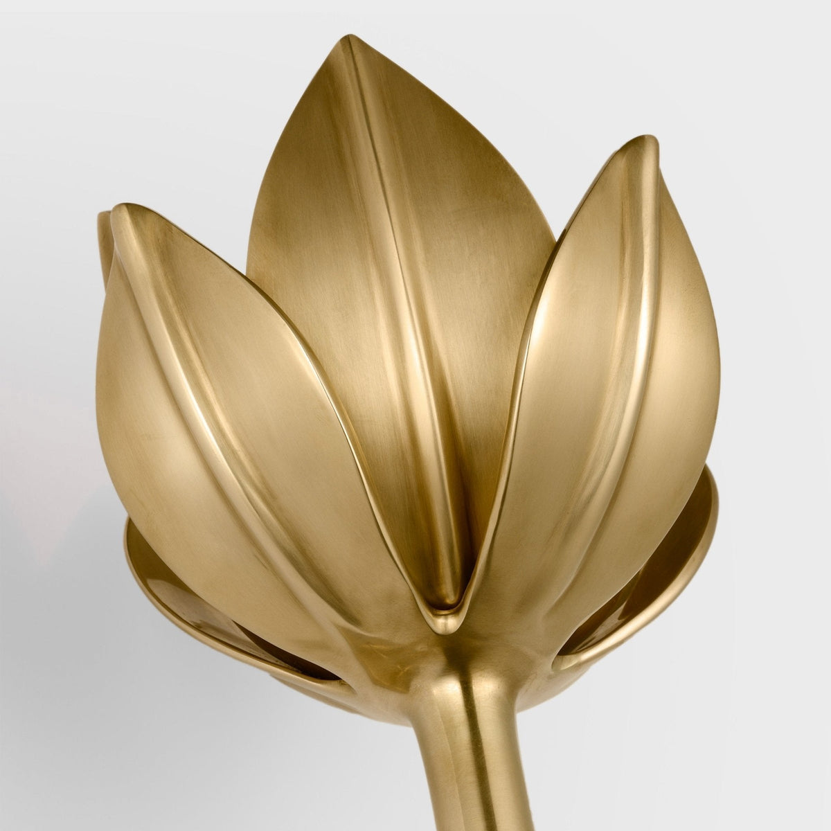 Clira aplique de pared Lotus floración en latón