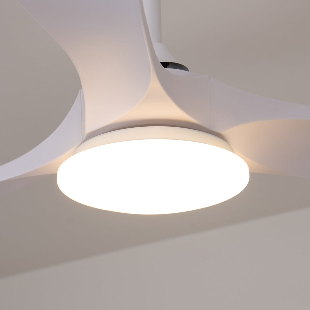 Ventilador de Techo Moderno Velix de Madera con Luz