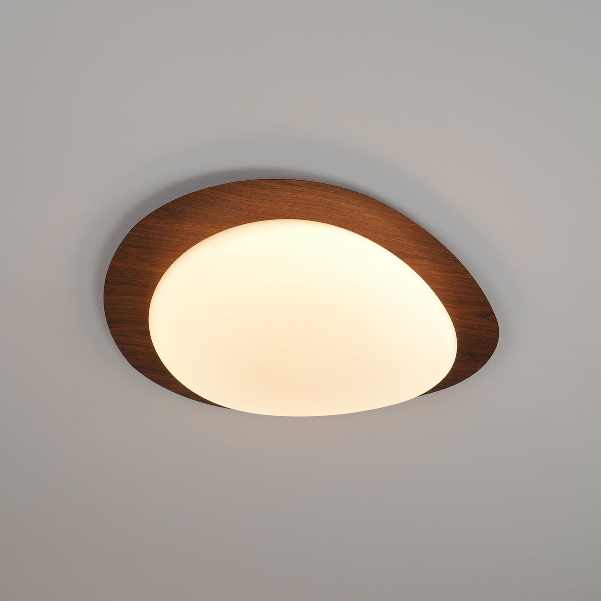 Sylenia lámpara de techo Pebble en nogal con acabado de grano de madera y pantalla de acrílico LED