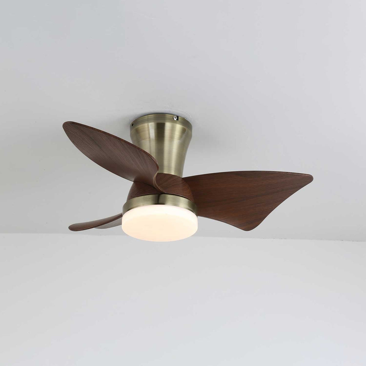 Aldivora ventilador de techo con luz moderno de madera