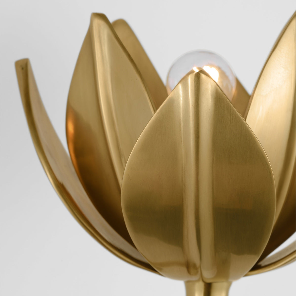 Clira aplique de pared Lotus floración en latón