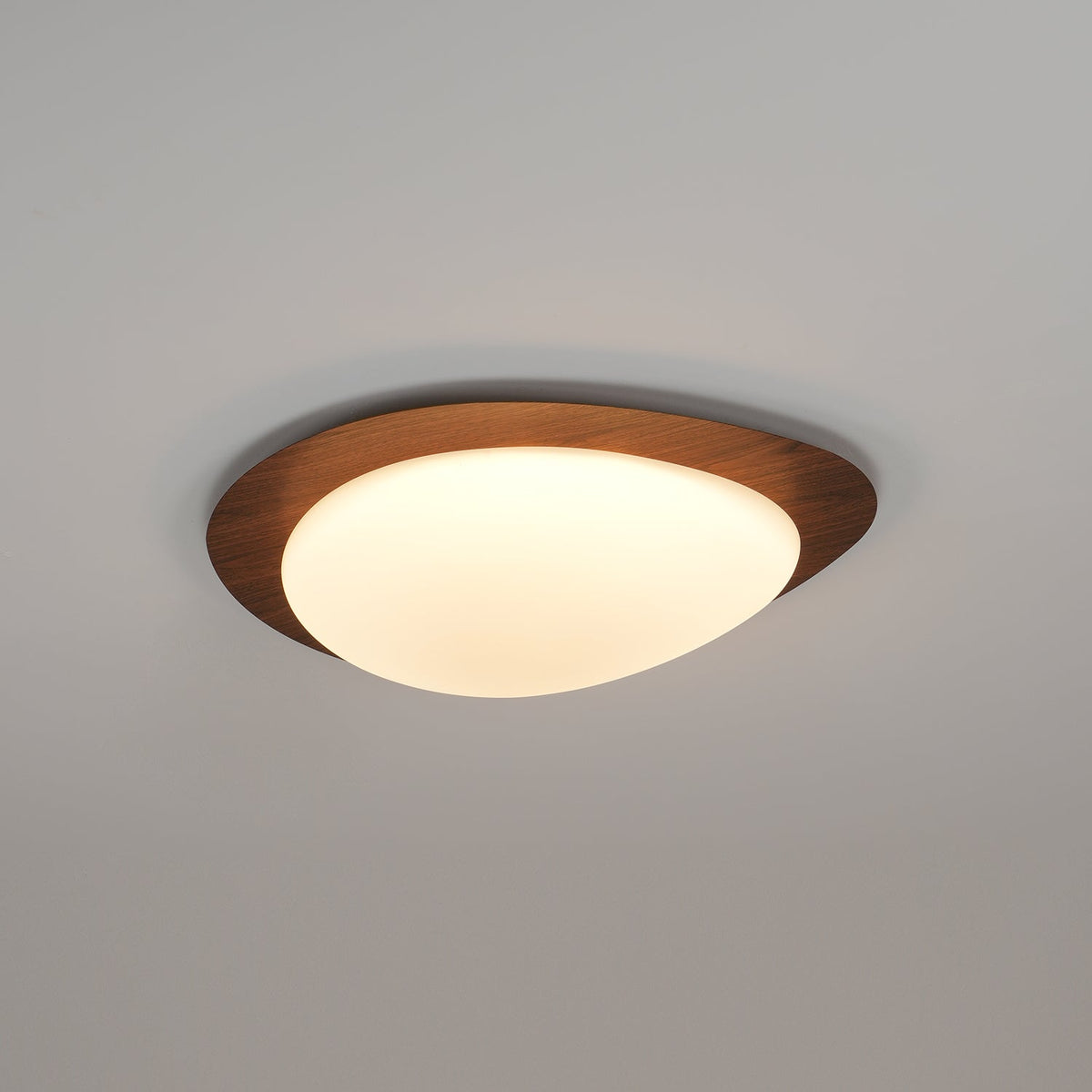 Sylenia lámpara de techo Pebble en nogal con acabado de grano de madera y pantalla de acrílico LED