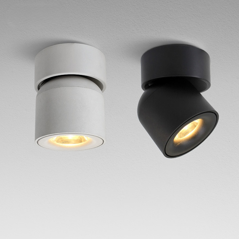 Arisha Moderna Foco Led Metal Lámpara de Techo Blanca/Negra